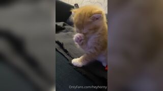 [152] Heyhorny (Mira Horny aka hey_horny) OnlyFans Leaks Brunette Sexy Slut Porn