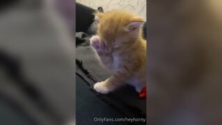 [152] Heyhorny (Mira Horny aka hey_horny) OnlyFans Leaks Brunette Sexy Slut Porn