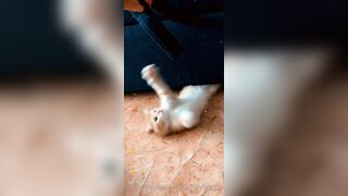 [165] Heyhorny (Mira Horny aka hey_horny) OnlyFans Leaks Brunette Sexy Slut Porn