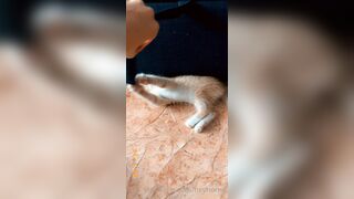 [165] Heyhorny (Mira Horny aka hey_horny) OnlyFans Leaks Brunette Sexy Slut Porn