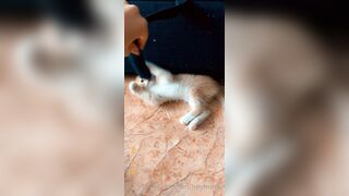 [165] Heyhorny (Mira Horny aka hey_horny) OnlyFans Leaks Brunette Sexy Slut Porn