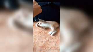 [165] Heyhorny (Mira Horny aka hey_horny) OnlyFans Leaks Brunette Sexy Slut Porn