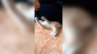 [165] Heyhorny (Mira Horny aka hey_horny) OnlyFans Leaks Brunette Sexy Slut Porn