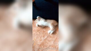 [165] Heyhorny (Mira Horny aka hey_horny) OnlyFans Leaks Brunette Sexy Slut Porn