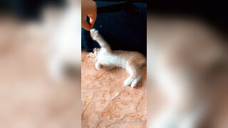 [165] Heyhorny (Mira Horny aka hey_horny) OnlyFans Leaks Brunette Sexy Slut Porn