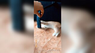 [165] Heyhorny (Mira Horny aka hey_horny) OnlyFans Leaks Brunette Sexy Slut Porn