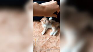 [165] Heyhorny (Mira Horny aka hey_horny) OnlyFans Leaks Brunette Sexy Slut Porn