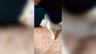 [165] Heyhorny (Mira Horny aka hey_horny) OnlyFans Leaks Brunette Sexy Slut Porn