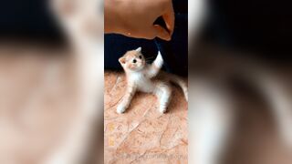 [165] Heyhorny (Mira Horny aka hey_horny) OnlyFans Leaks Brunette Sexy Slut Porn