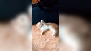 [165] Heyhorny (Mira Horny aka hey_horny) OnlyFans Leaks Brunette Sexy Slut Porn