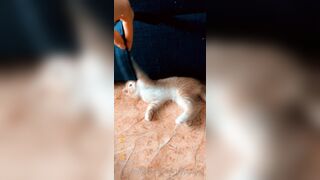 [165] Heyhorny (Mira Horny aka hey_horny) OnlyFans Leaks Brunette Sexy Slut Porn