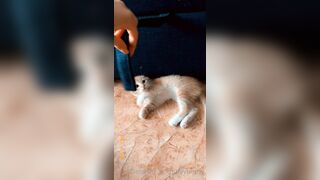 [165] Heyhorny (Mira Horny aka hey_horny) OnlyFans Leaks Brunette Sexy Slut Porn