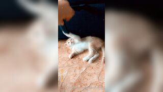 [165] Heyhorny (Mira Horny aka hey_horny) OnlyFans Leaks Brunette Sexy Slut Porn