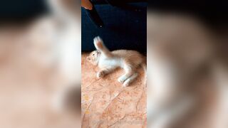 [165] Heyhorny (Mira Horny aka hey_horny) OnlyFans Leaks Brunette Sexy Slut Porn