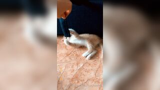 [165] Heyhorny (Mira Horny aka hey_horny) OnlyFans Leaks Brunette Sexy Slut Porn