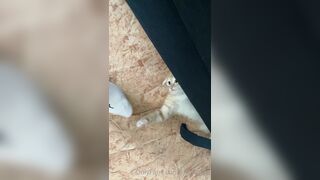 [166] Heyhorny (Mira Horny aka hey_horny) OnlyFans Leaks Brunette Sexy Slut Porn