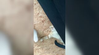 [166] Heyhorny (Mira Horny aka hey_horny) OnlyFans Leaks Brunette Sexy Slut Porn