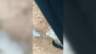 [166] Heyhorny (Mira Horny aka hey_horny) OnlyFans Leaks Brunette Sexy Slut Porn