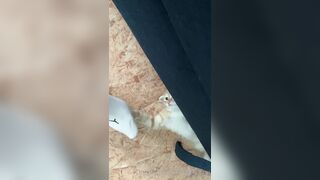 [166] Heyhorny (Mira Horny aka hey_horny) OnlyFans Leaks Brunette Sexy Slut Porn