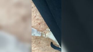 [166] Heyhorny (Mira Horny aka hey_horny) OnlyFans Leaks Brunette Sexy Slut Porn