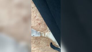 [166] Heyhorny (Mira Horny aka hey_horny) OnlyFans Leaks Brunette Sexy Slut Porn