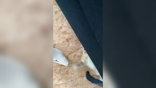 [166] Heyhorny (Mira Horny aka hey_horny) OnlyFans Leaks Brunette Sexy Slut Porn