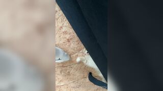 [166] Heyhorny (Mira Horny aka hey_horny) OnlyFans Leaks Brunette Sexy Slut Porn