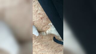 [166] Heyhorny (Mira Horny aka hey_horny) OnlyFans Leaks Brunette Sexy Slut Porn