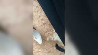 [166] Heyhorny (Mira Horny aka hey_horny) OnlyFans Leaks Brunette Sexy Slut Porn