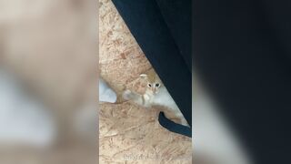 [166] Heyhorny (Mira Horny aka hey_horny) OnlyFans Leaks Brunette Sexy Slut Porn