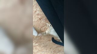 [166] Heyhorny (Mira Horny aka hey_horny) OnlyFans Leaks Brunette Sexy Slut Porn