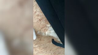 [166] Heyhorny (Mira Horny aka hey_horny) OnlyFans Leaks Brunette Sexy Slut Porn