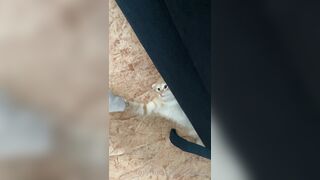 [166] Heyhorny (Mira Horny aka hey_horny) OnlyFans Leaks Brunette Sexy Slut Porn