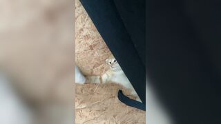 [166] Heyhorny (Mira Horny aka hey_horny) OnlyFans Leaks Brunette Sexy Slut Porn