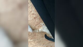 [166] Heyhorny (Mira Horny aka hey_horny) OnlyFans Leaks Brunette Sexy Slut Porn