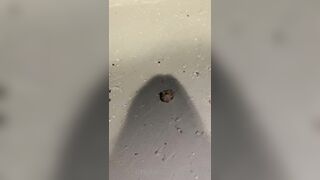 [190] Heyhorny (Mira Horny aka hey_horny) OnlyFans Leaks Brunette Sexy Slut Porn