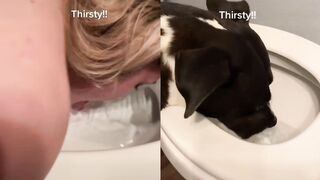 [15] Yourpuppygirl (Jena) OnlyFans Leaks Subby Sadomasochist Puppy Girl Porn