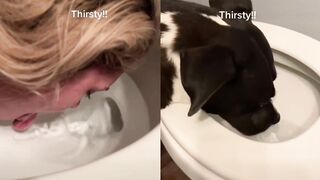 [15] Yourpuppygirl (Jena) OnlyFans Leaks Subby Sadomasochist Puppy Girl Porn