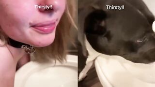 [15] Yourpuppygirl (Jena) OnlyFans Leaks Subby Sadomasochist Puppy Girl Porn
