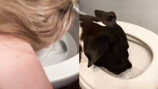 [15] Yourpuppygirl (Jena) OnlyFans Leaks Subby Sadomasochist Puppy Girl Porn