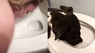 [15] Yourpuppygirl (Jena) OnlyFans Leaks Subby Sadomasochist Puppy Girl Porn