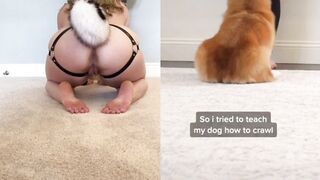 [23] Yourpuppygirl (Jena) OnlyFans Leaks Subby Sadomasochist Puppy Girl Porn