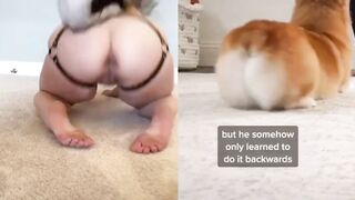 [23] Yourpuppygirl (Jena) OnlyFans Leaks Subby Sadomasochist Puppy Girl Porn