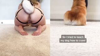[23] Yourpuppygirl (Jena) OnlyFans Leaks Subby Sadomasochist Puppy Girl Porn