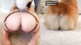 [23] Yourpuppygirl (Jena) OnlyFans Leaks Subby Sadomasochist Puppy Girl Porn