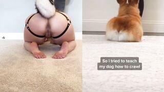 [23] Yourpuppygirl (Jena) OnlyFans Leaks Subby Sadomasochist Puppy Girl Porn