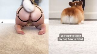 [23] Yourpuppygirl (Jena) OnlyFans Leaks Subby Sadomasochist Puppy Girl Porn