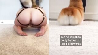 [23] Yourpuppygirl (Jena) OnlyFans Leaks Subby Sadomasochist Puppy Girl Porn