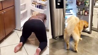 [3] Yourpuppygirl (Jena) OnlyFans Leaks Subby Sadomasochist Puppy Girl Porn