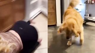 [3] Yourpuppygirl (Jena) OnlyFans Leaks Subby Sadomasochist Puppy Girl Porn